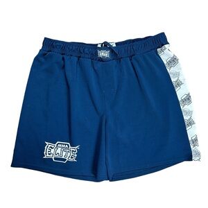 Vintage Y2K MMA Elite Blue Training Small Logo Shorts Size XL